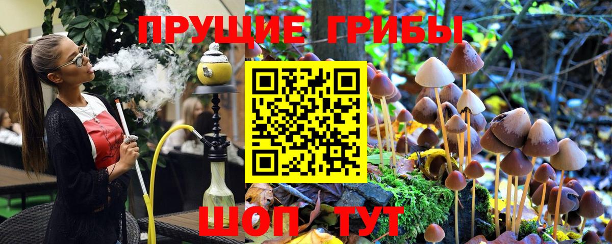Псилоцибиновые грибы Cubensis Сыктывкар